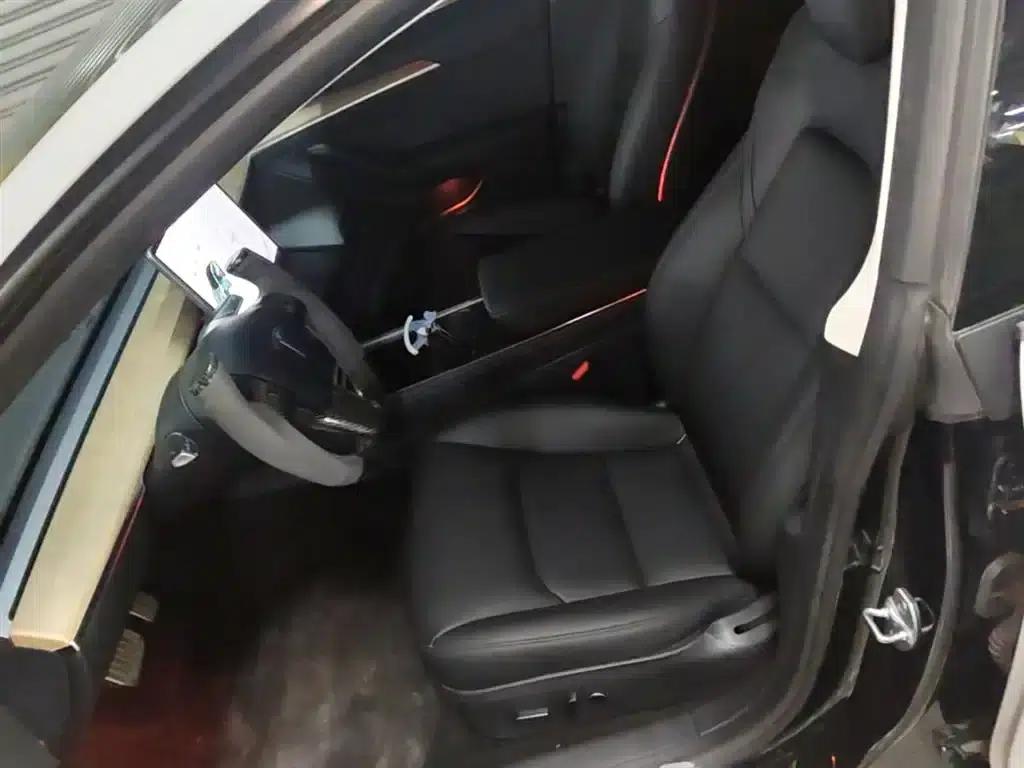 Model 3 2021 Standard Range Rear-Wheel Drive Upgrade 3D6 — миниатюра 15
