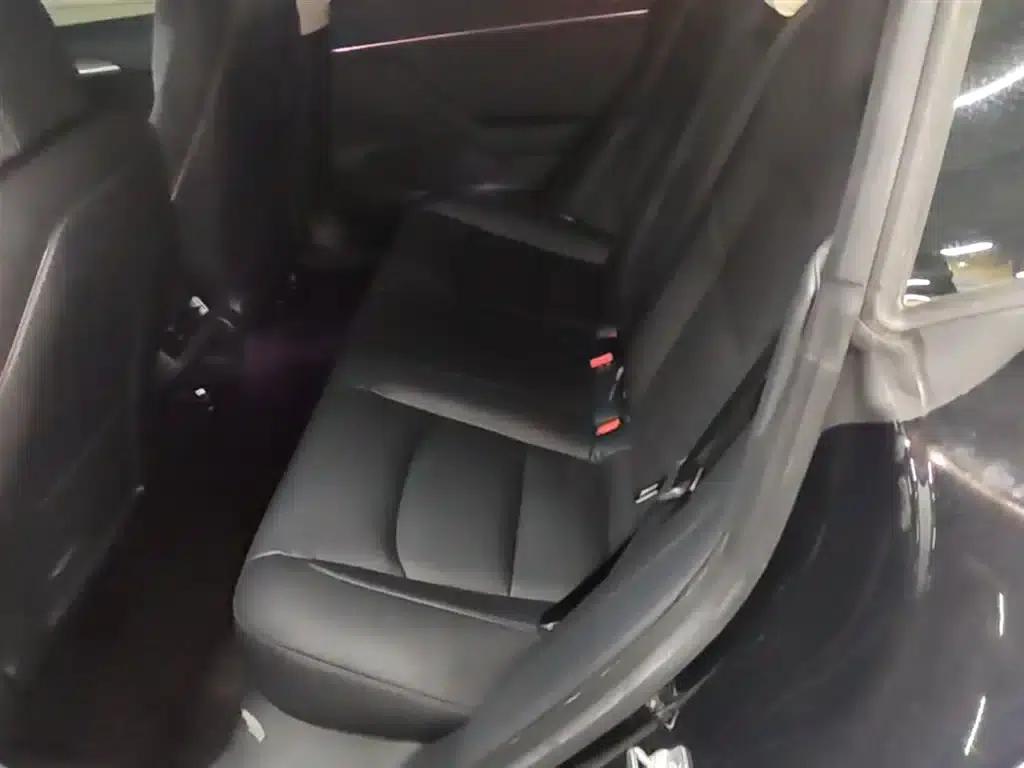 Model 3 2021 Standard Range Rear-Wheel Drive Upgrade 3D6 — миниатюра 17