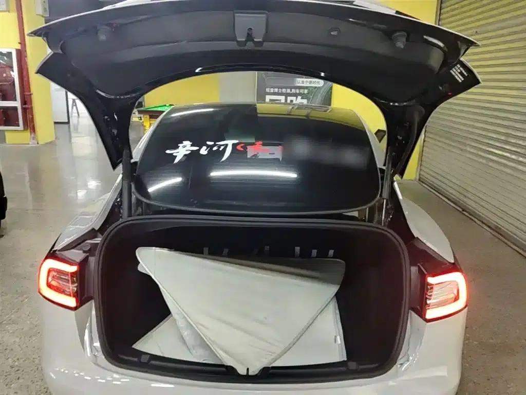Model 3 2021 Standard Range Rear-Wheel Drive Upgrade 3D6 — миниатюра 19