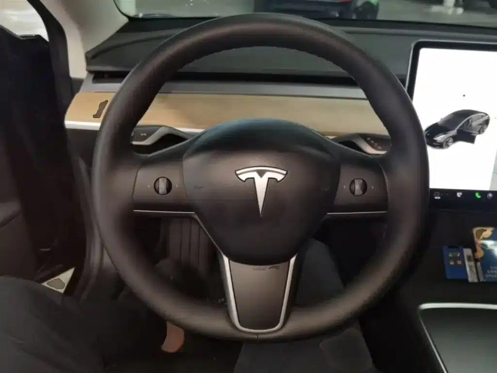 Model 3 2021 Standard Range Rear-Wheel Drive Upgrade 3D6 — миниатюра 11