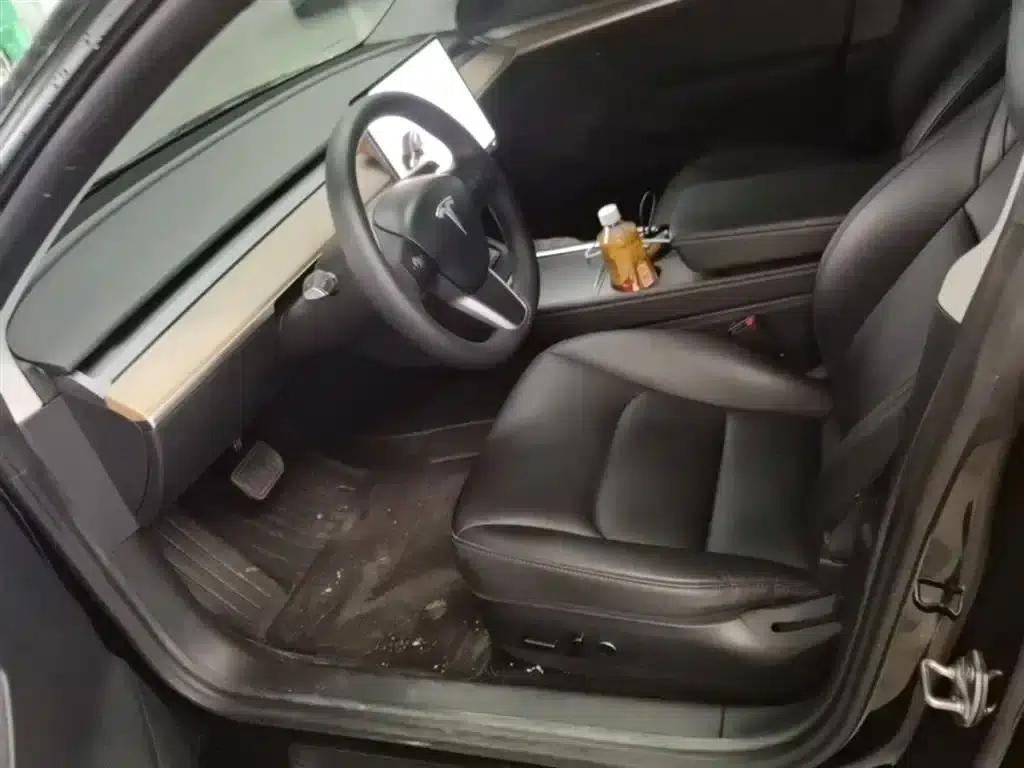 Model 3 2021 Standard Range Rear-Wheel Drive Upgrade 3D6 — миниатюра 15