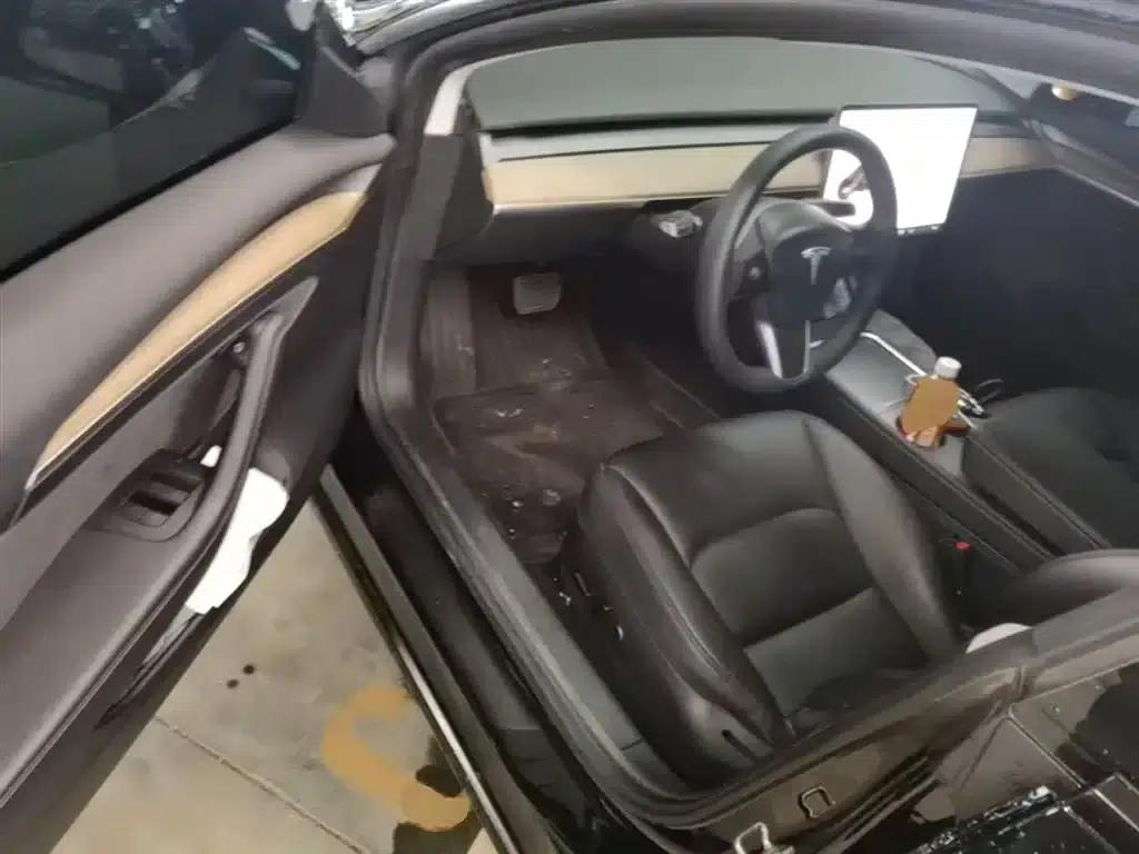 Model 3 2021 Standard Range Rear-Wheel Drive Upgrade 3D6 — миниатюра 16
