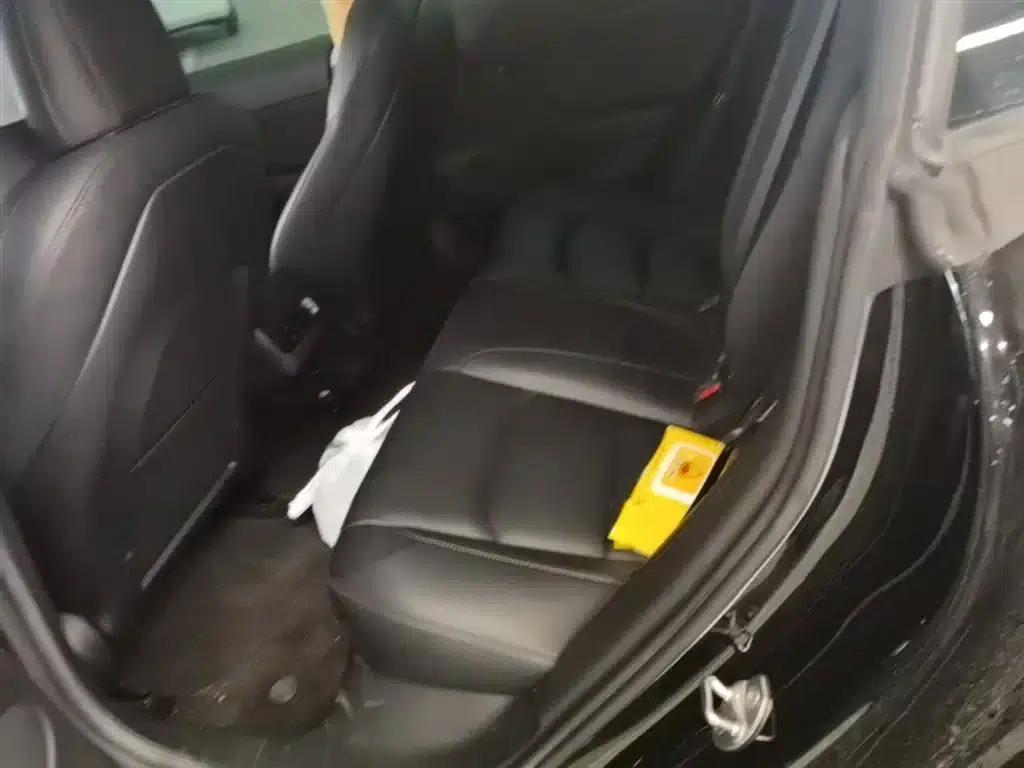 Model 3 2021 Standard Range Rear-Wheel Drive Upgrade 3D6 — миниатюра 17