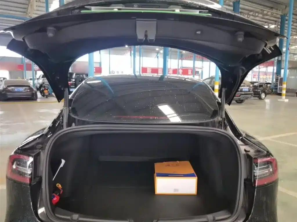 Model 3 2021 Standard Range Rear-Wheel Drive Upgrade 3D6 — миниатюра 19
