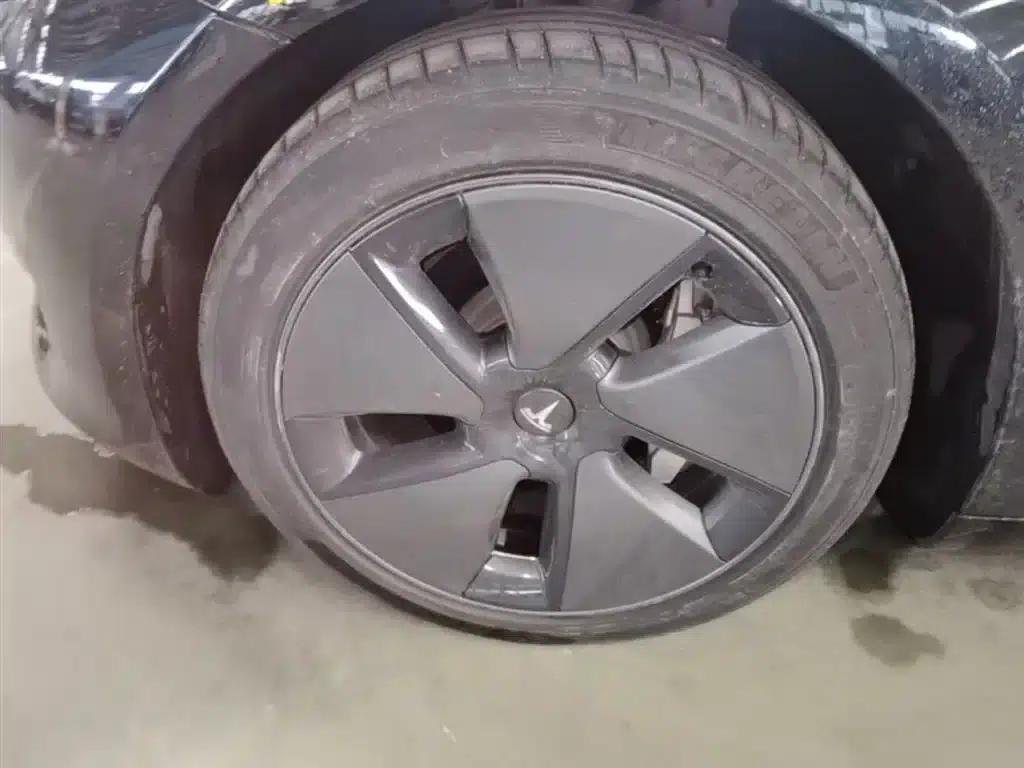 Model 3 2021 Standard Range Rear-Wheel Drive Upgrade 3D6 — миниатюра 23