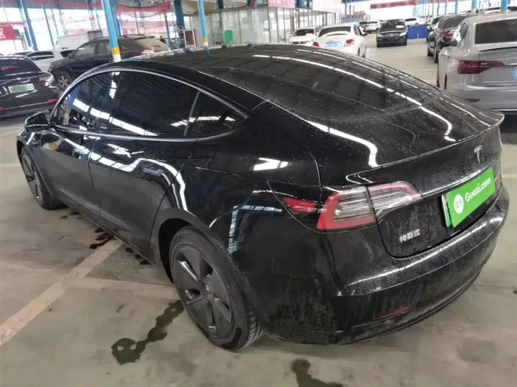 Model 3 2021 Standard Range Rear-Wheel Drive Upgrade 3D6 — миниатюра 5