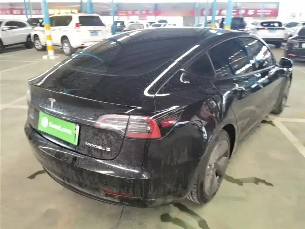 Model 3 2021 Standard Range Rear-Wheel Drive Upgrade 3D6 — миниатюра 7