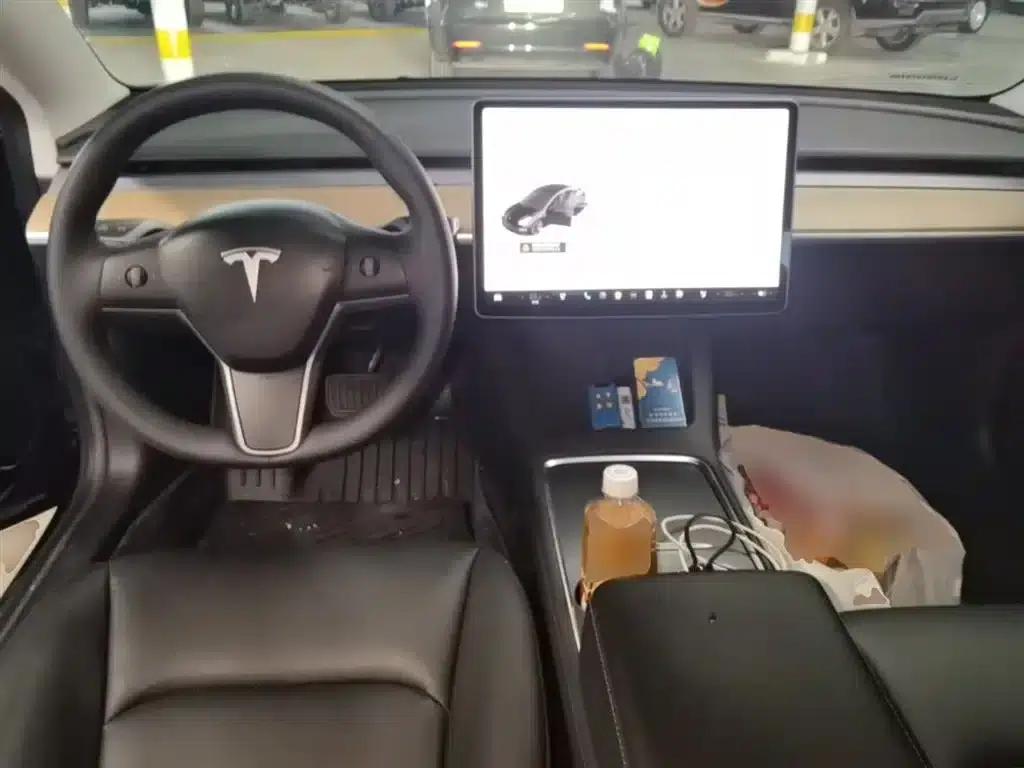 Model 3 2021 Standard Range Rear-Wheel Drive Upgrade 3D6 — миниатюра 10