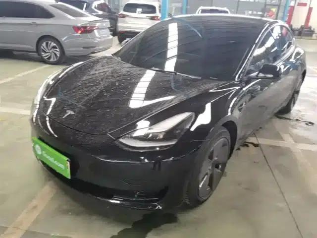 Model 3 2021 Standard Range Rear-Wheel Drive Upgrade 3D6