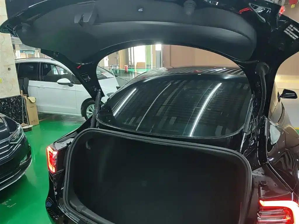 Model 3 2021 Standard Range Rear-Wheel Drive Upgrade — миниатюра 19