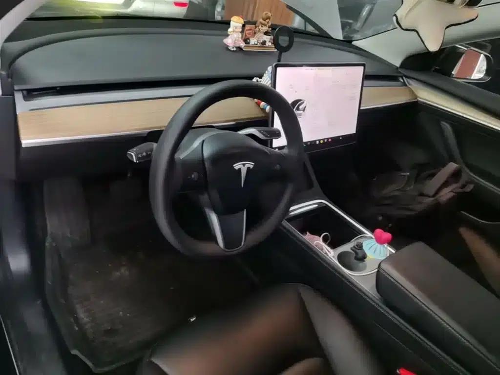 Model 3 2022 Rear-Wheel Drive — миниатюра 11
