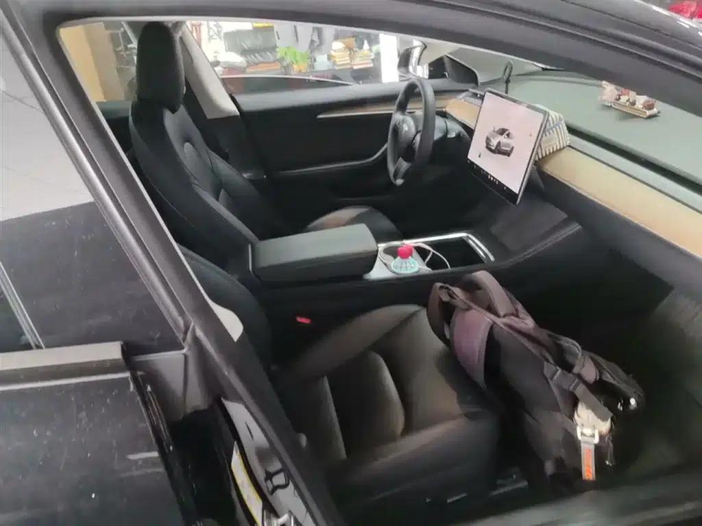 Model 3 2022 Rear-Wheel Drive — миниатюра 25