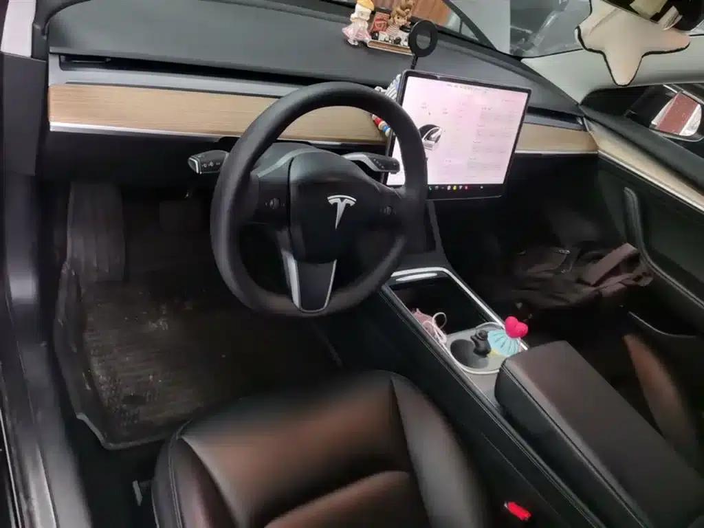 Model 3 2022 Rear-Wheel Drive — миниатюра 10
