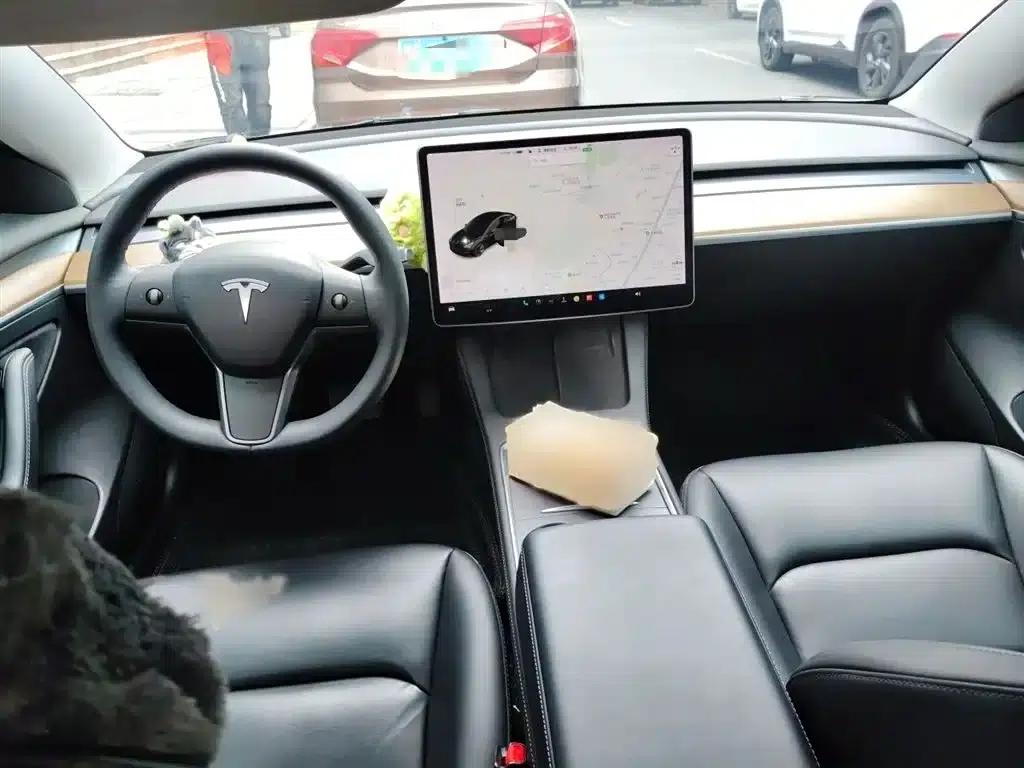 Model 3 2021 Standard Range Rear-Wheel Drive Upgrade — миниатюра 13
