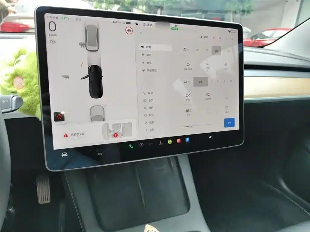 Model 3 2021 Standard Range Rear-Wheel Drive Upgrade — миниатюра 4