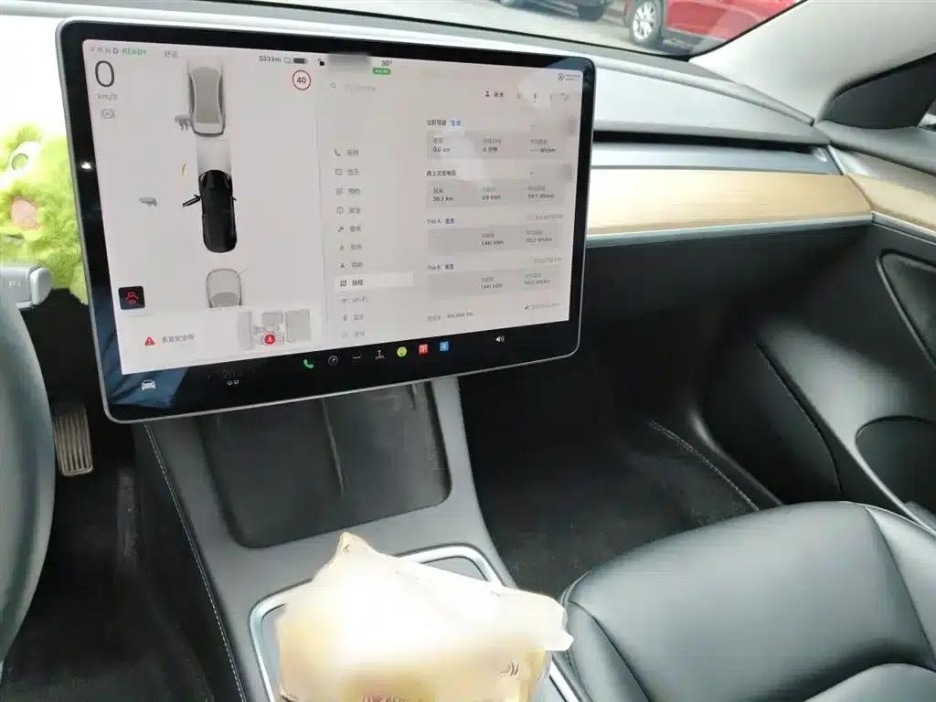 Model 3 2021 Standard Range Rear-Wheel Drive Upgrade — миниатюра 6