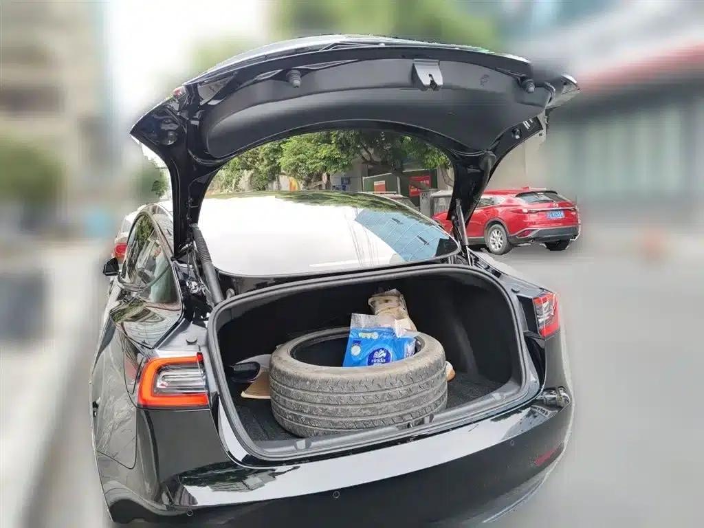 Model 3 2021 Standard Range Rear-Wheel Drive Upgrade — миниатюра 10