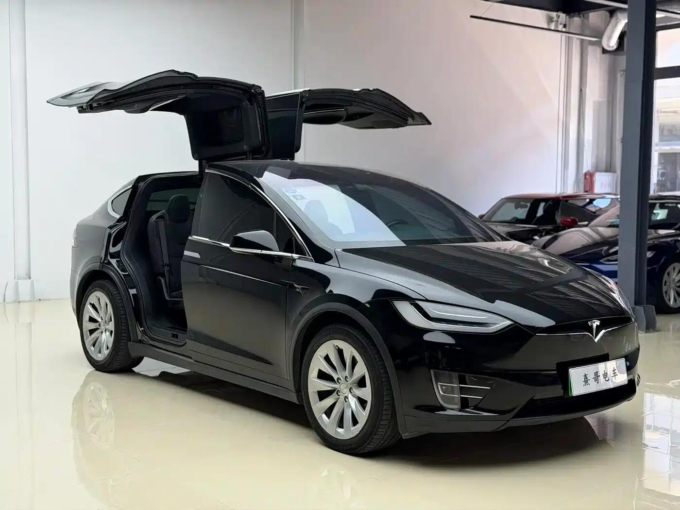 2017 Model X 100D Long Range — миниатюра 11