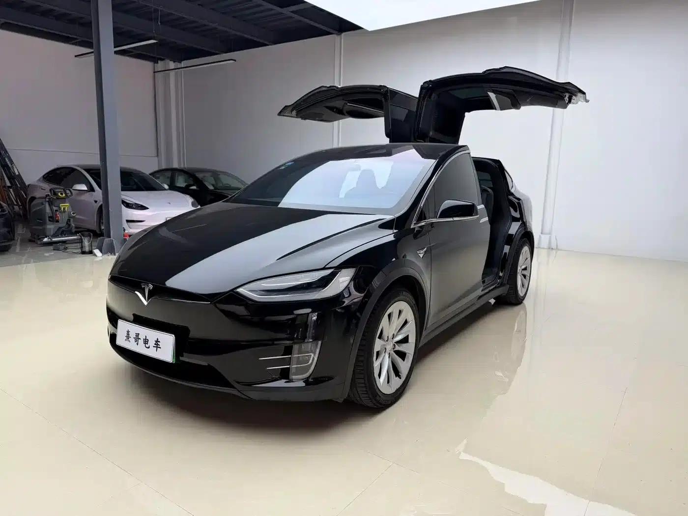 2017 Model X 100D Long Range — миниатюра 9