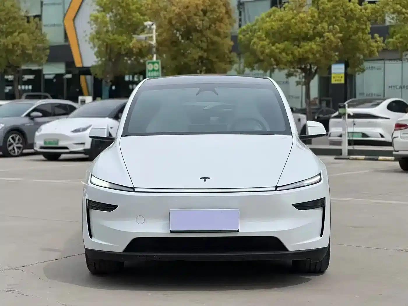Model Y L 2025 Long Range All-Wheel Drive — миниатюра 2