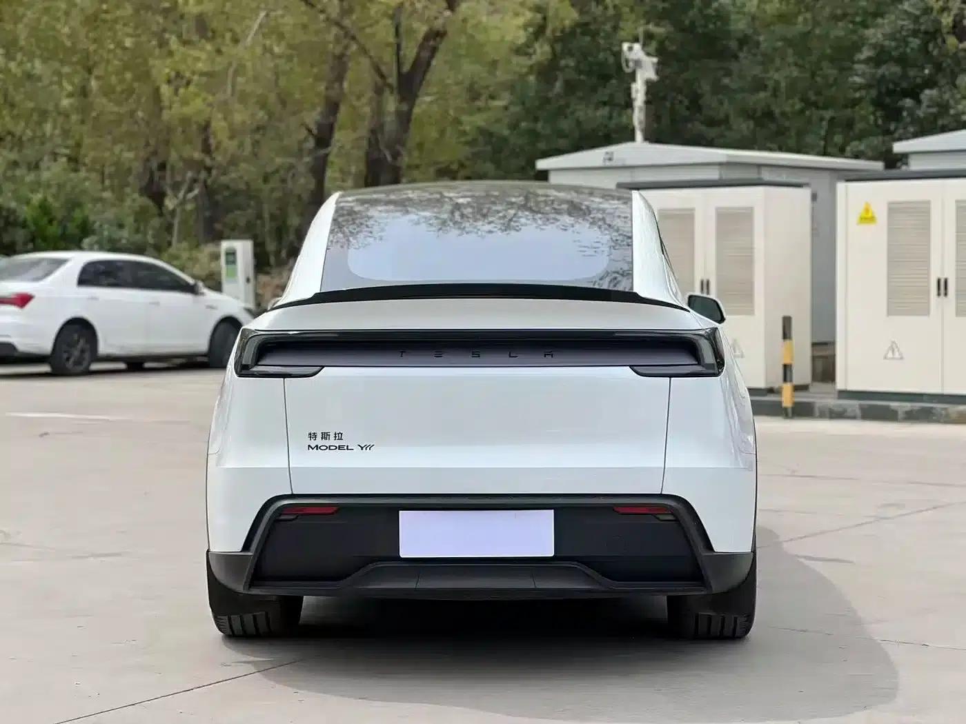 Model Y L 2025 Long Range All-Wheel Drive — миниатюра 8
