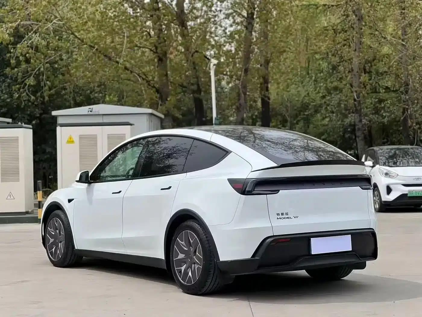 Model Y L 2025 Long Range All-Wheel Drive — миниатюра 9