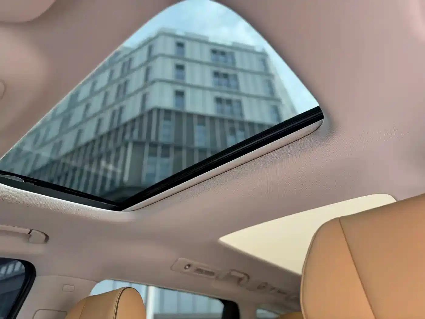 Denza D9 2022 DM-i 1040 Premium — миниатюра 9