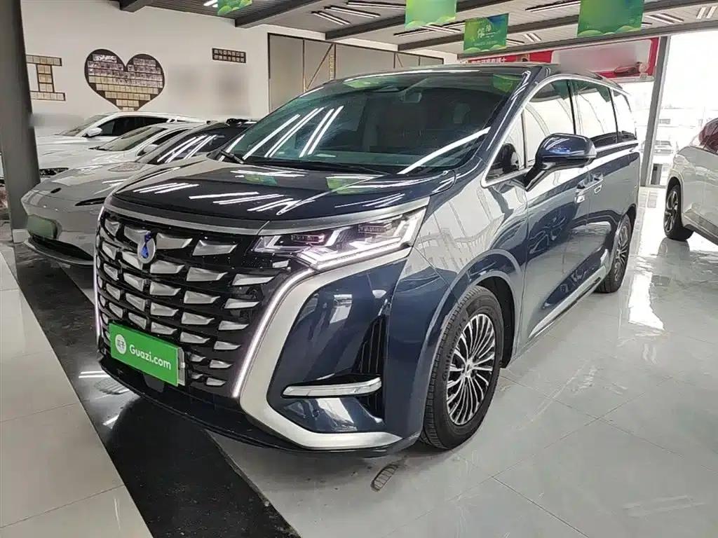 Denza D9 2024 DM-i 980 AWD Flagship — миниатюра 2