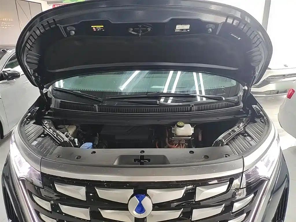 Denza D9 2024 DM-i 980 AWD Flagship — миниатюра 20