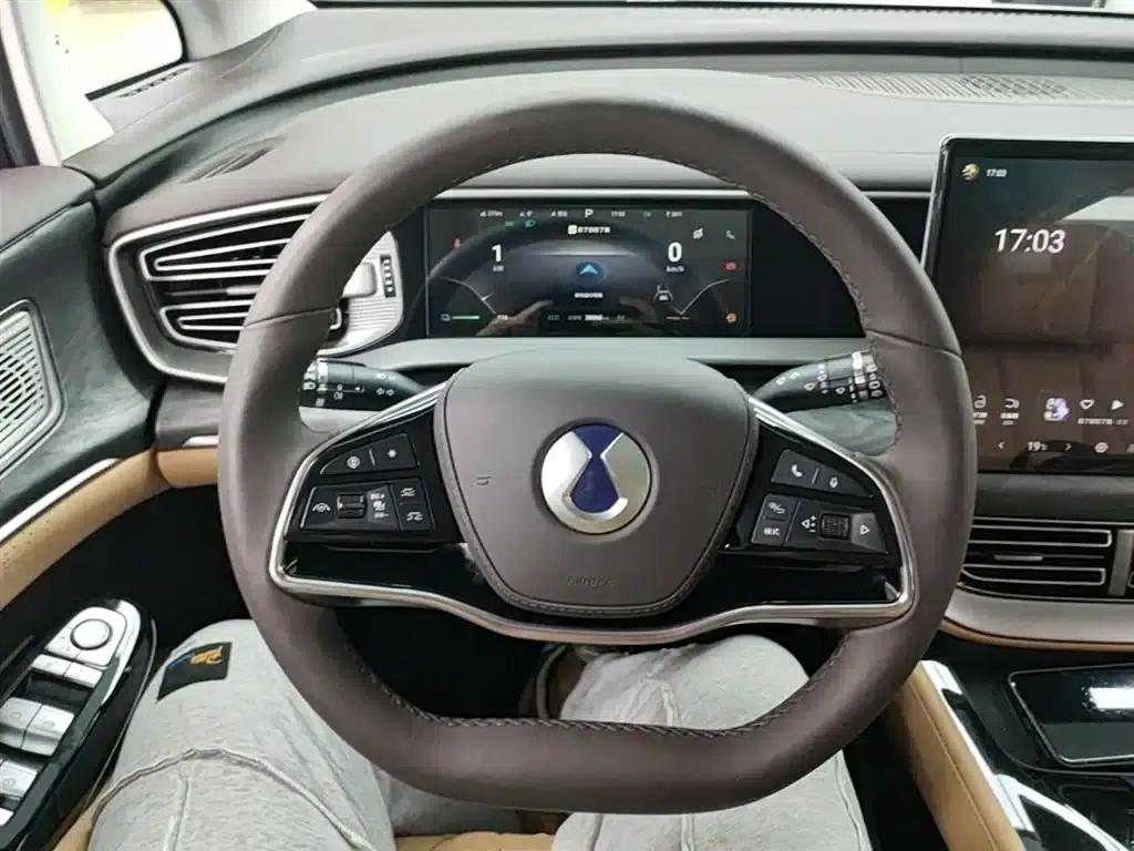 Denza D9 2024 DM-i 1050 Premium Edition — миниатюра 11
