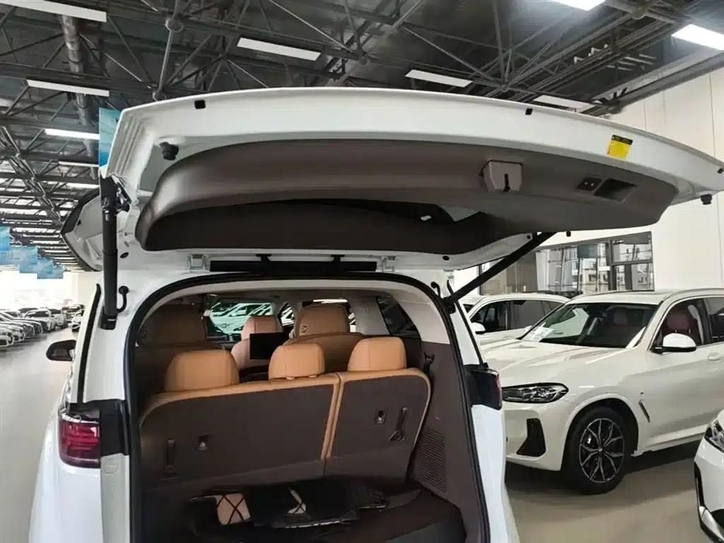 Denza D9 2022 DM-i 970 4WD Premium Edition — миниатюра 19