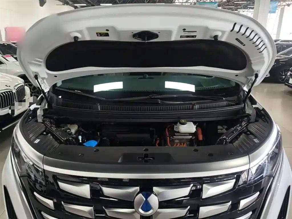 Denza D9 2022 DM-i 970 4WD Premium Edition — миниатюра 20