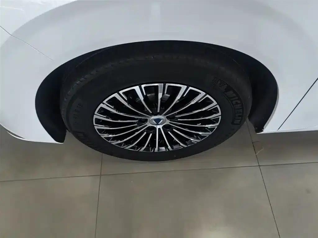 Denza D9 2022 DM-i 970 4WD Premium Edition — миниатюра 23