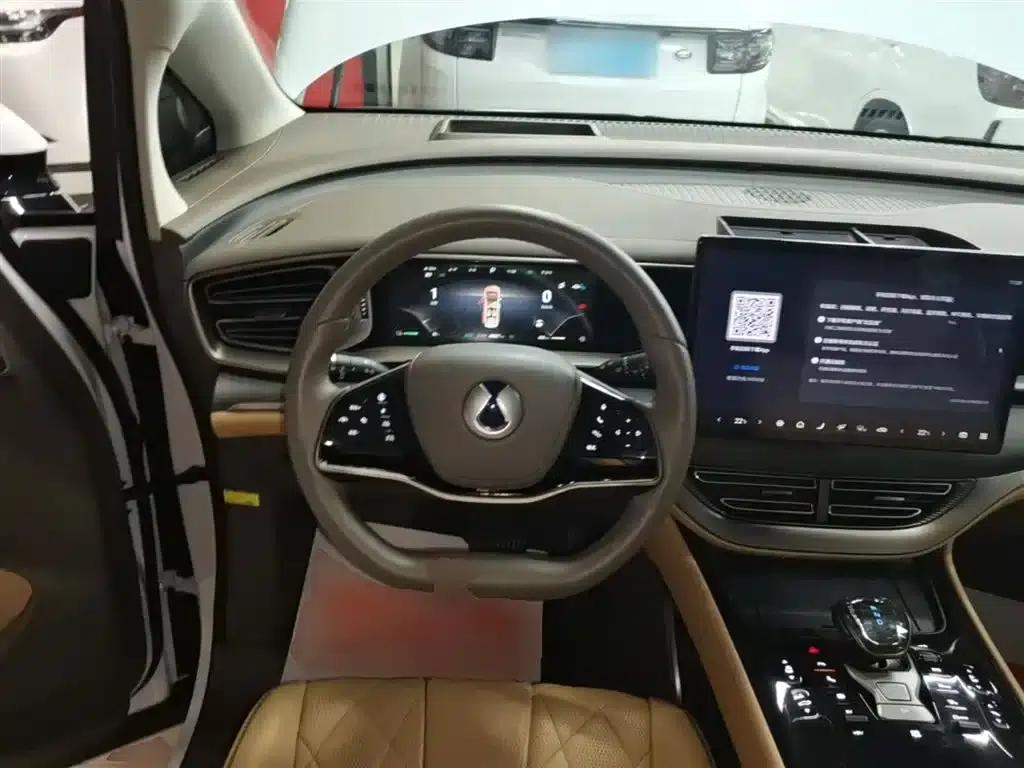 Denza D9 2022 DM-i 970 4WD Premium Edition — миниатюра 11