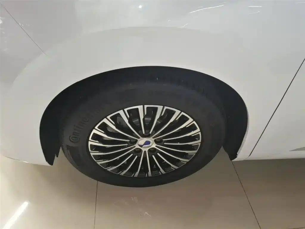 Denza D9 2022 DM-i 970 4WD Premium Edition — миниатюра 23