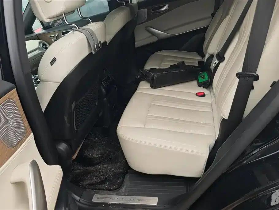 Denza X 2020 PHEV Flagship Edition — миниатюра 11