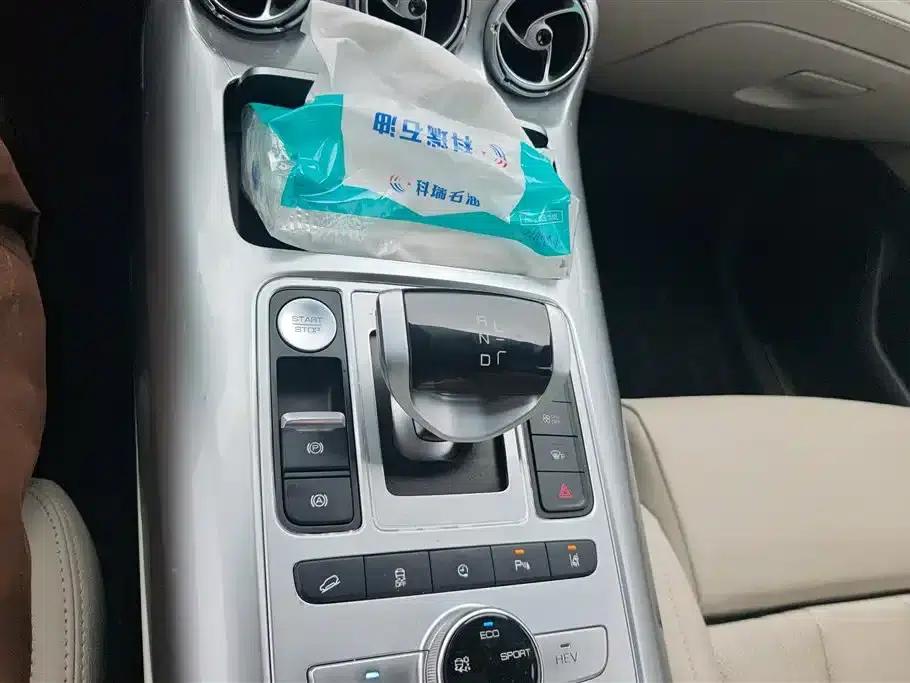 Denza X 2020 PHEV Flagship Edition — миниатюра 16