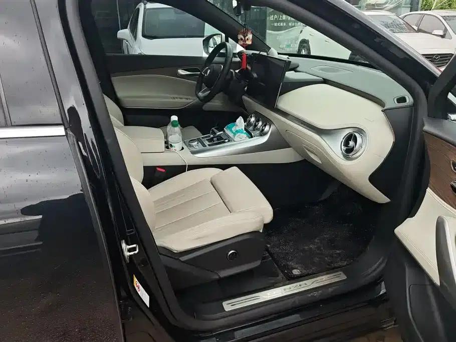 Denza X 2020 PHEV Flagship Edition — миниатюра 8
