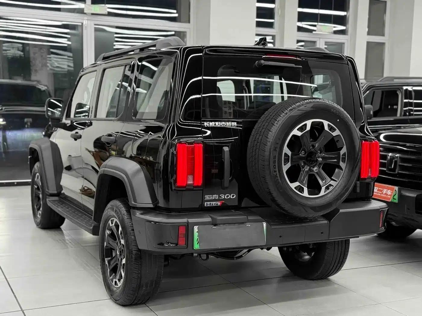 Tank 300 New Energy 2025 Hi4-T 36.7kWh — миниатюра 12