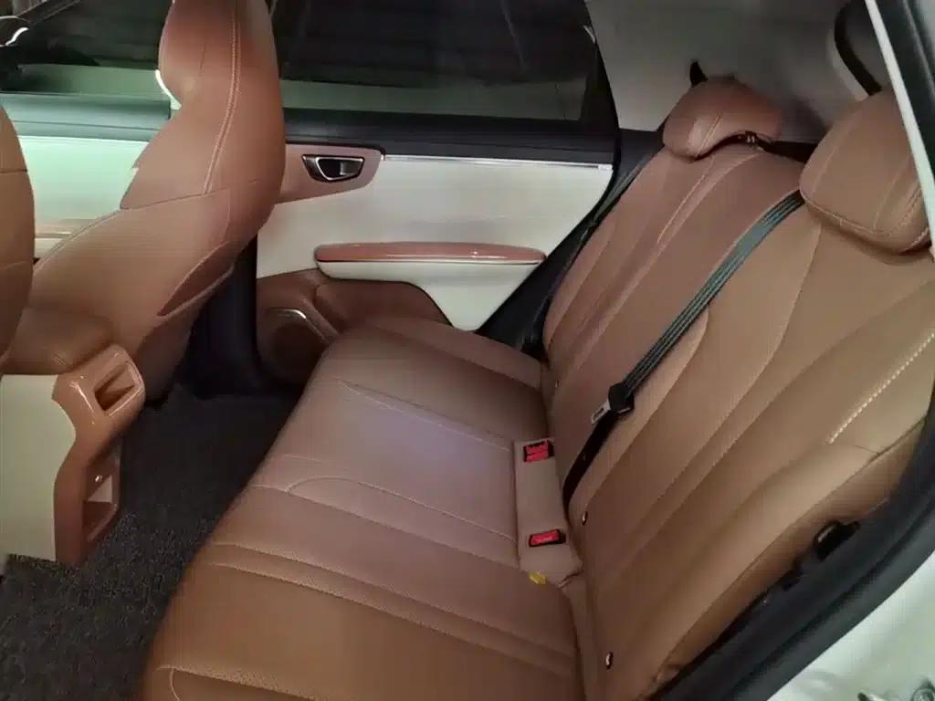 Bingo S 2025 Model 325km Premium Edition — миниатюра 17