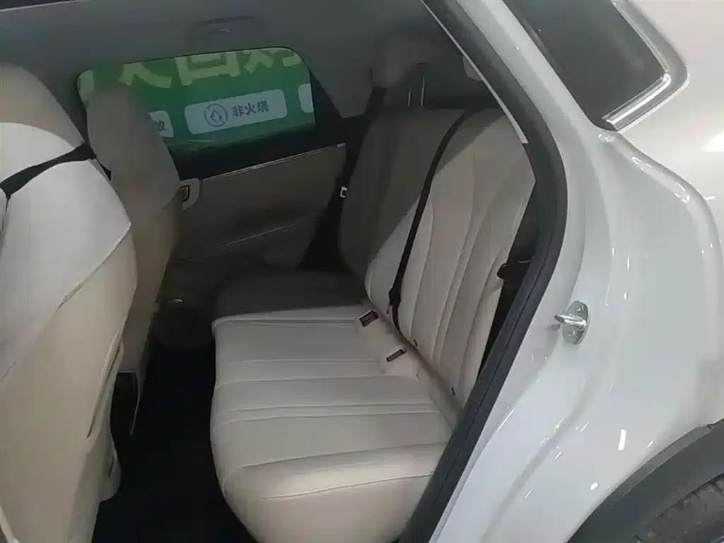 Bingo S 2025 Flagship Model 325km — миниатюра 17