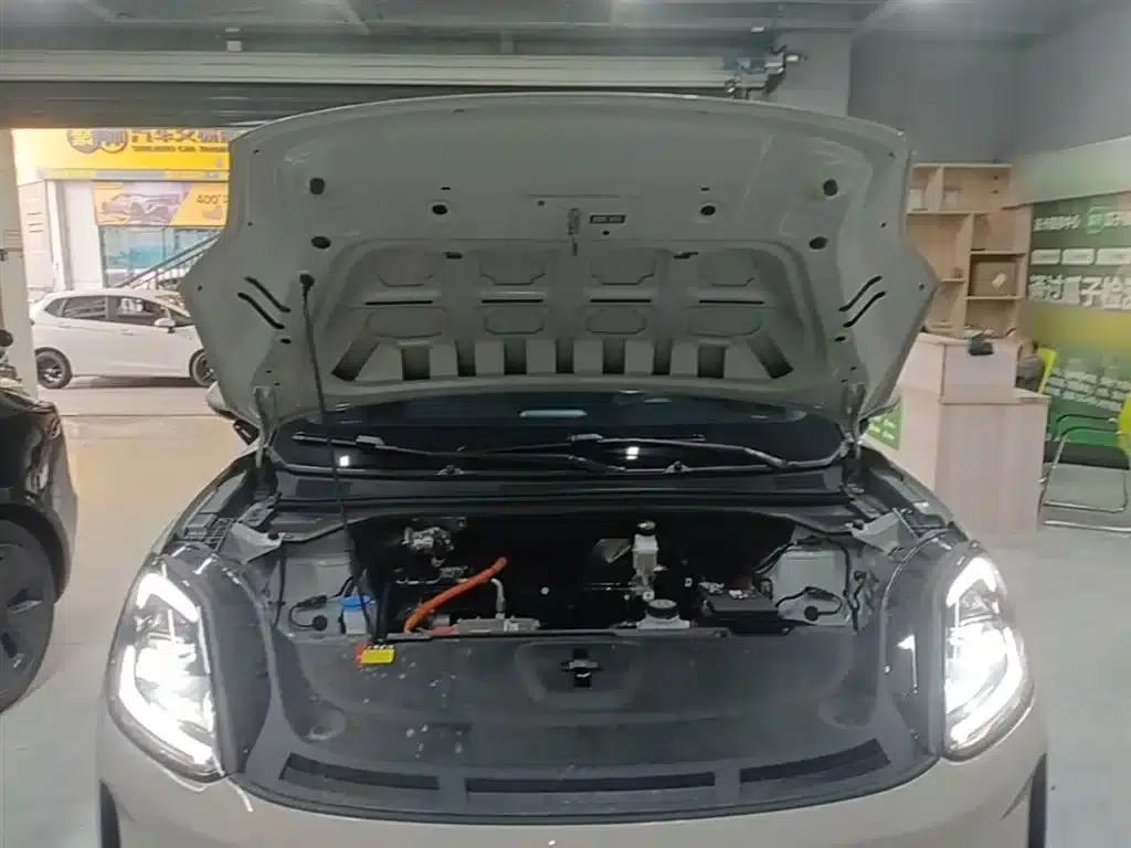 Bingo S 2025 Flagship Model 325km — миниатюра 20