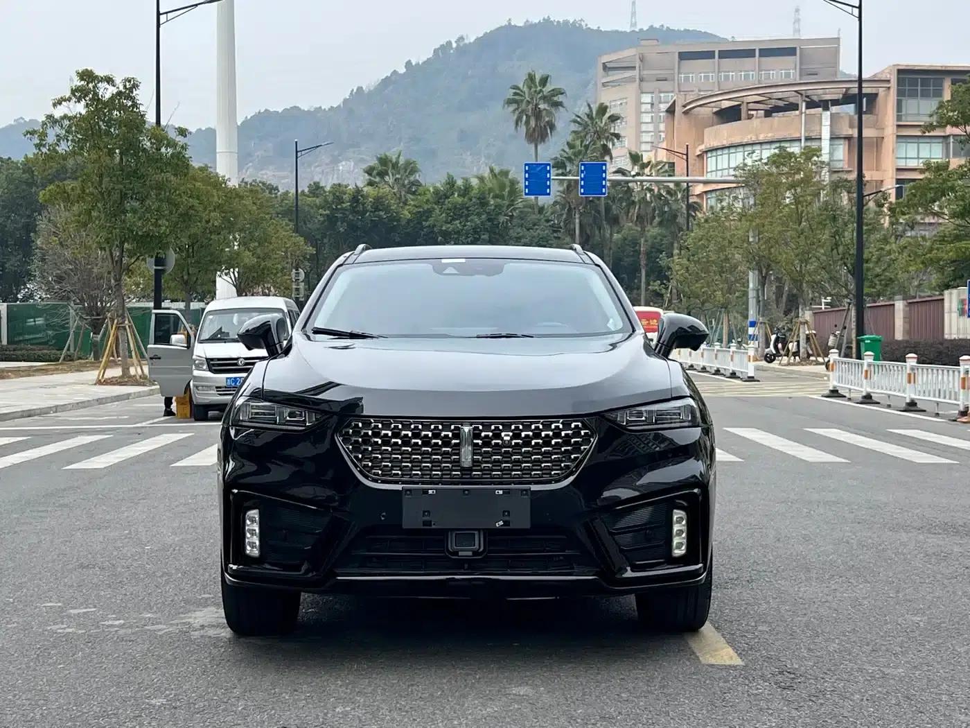 Weipai VV7 2020 2.0T Flagship Edition — миниатюра 1