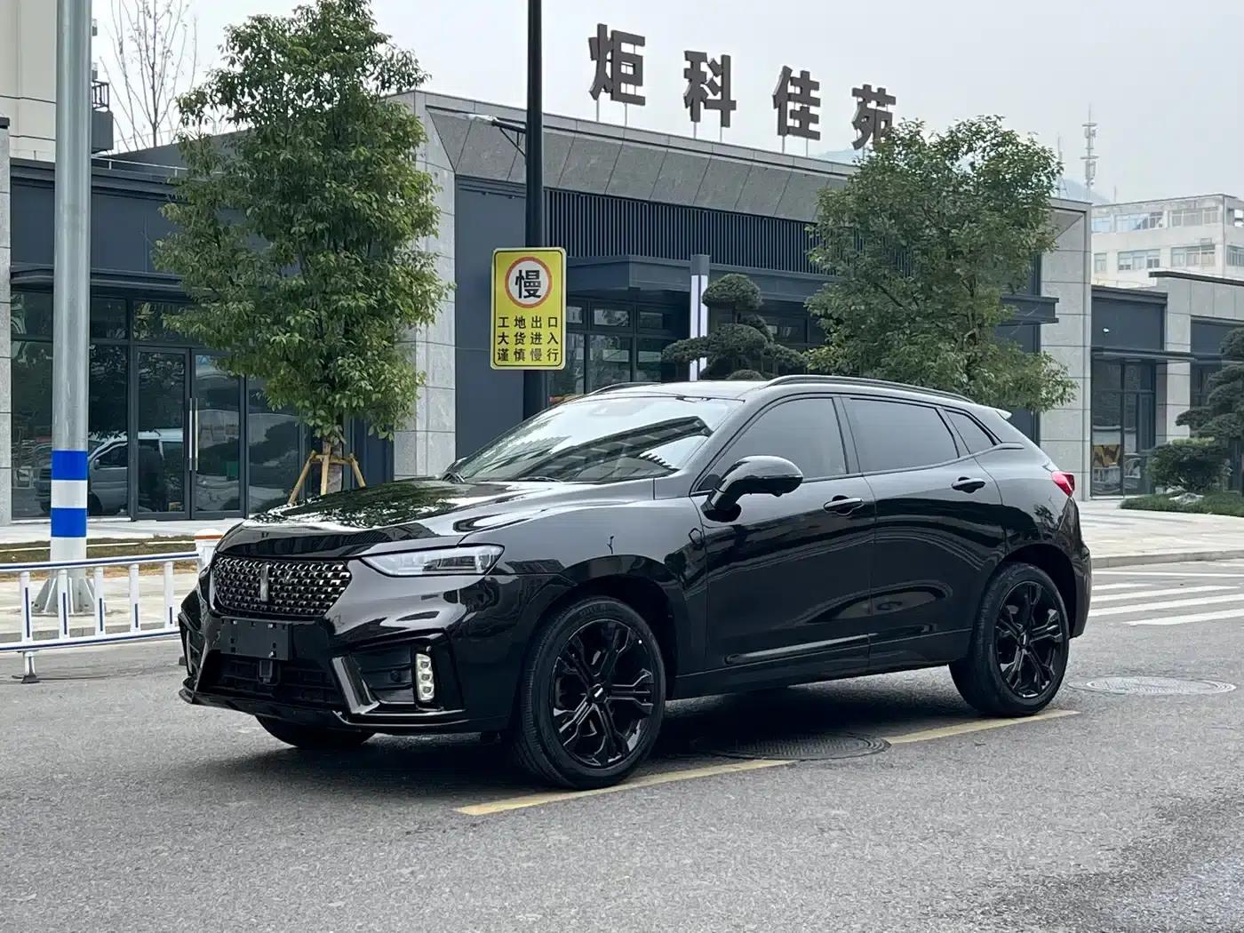 Weipai VV7 2020 2.0T Flagship Edition — миниатюра 3
