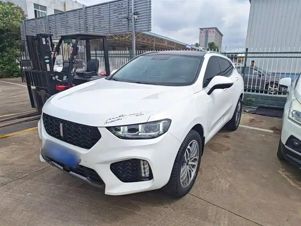 Wey VV5 2019 Upgraded 2.0T 2WD Super Luxury Model (National V Emission Standard) — миниатюра 1