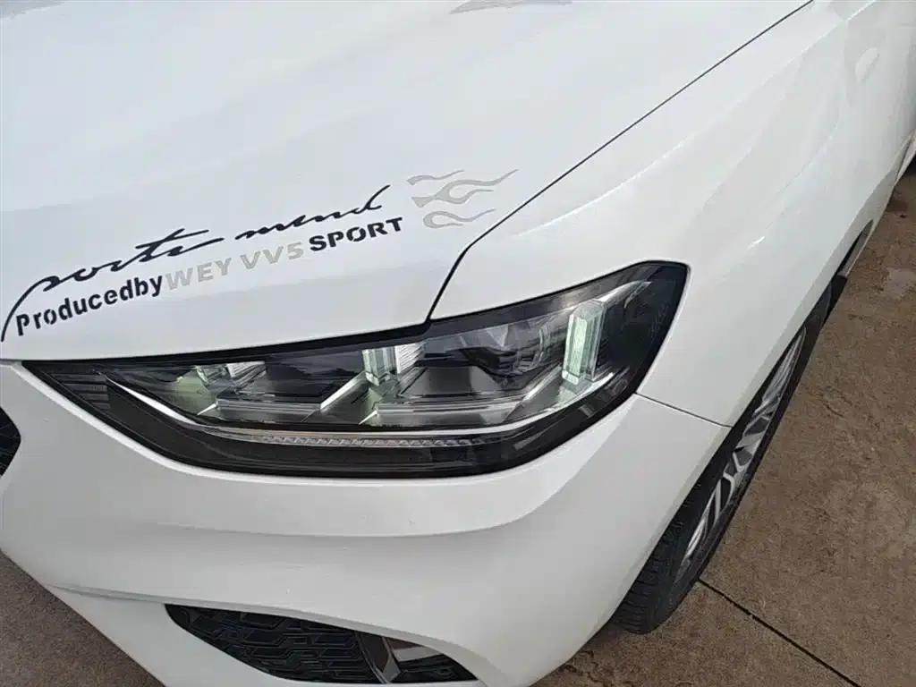 Wey VV5 2019 Upgraded 2.0T 2WD Super Luxury Model (National V Emission Standard) — миниатюра 24
