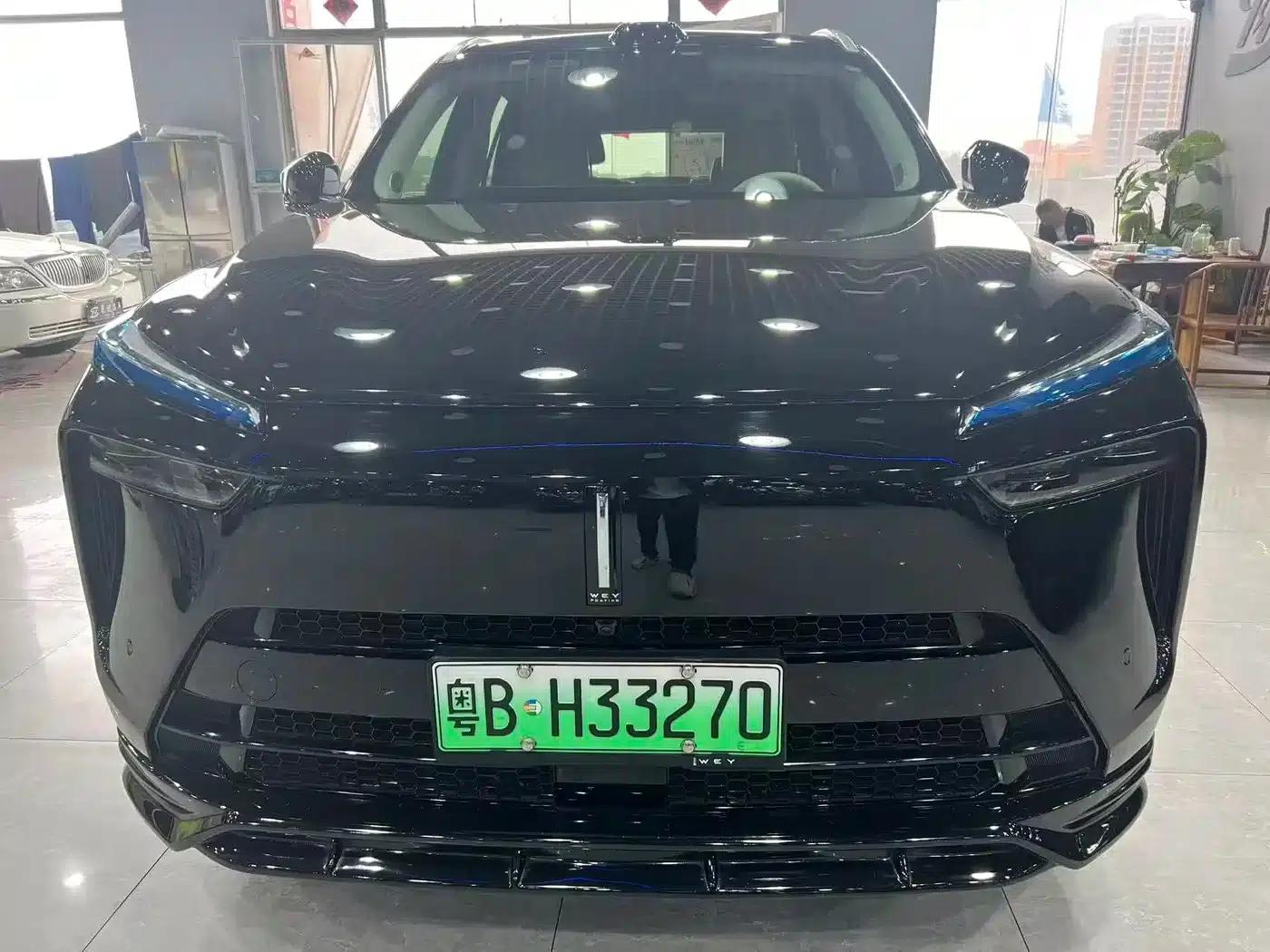 Weipai Blue Mountain 2025 4WD Max — миниатюра 2
