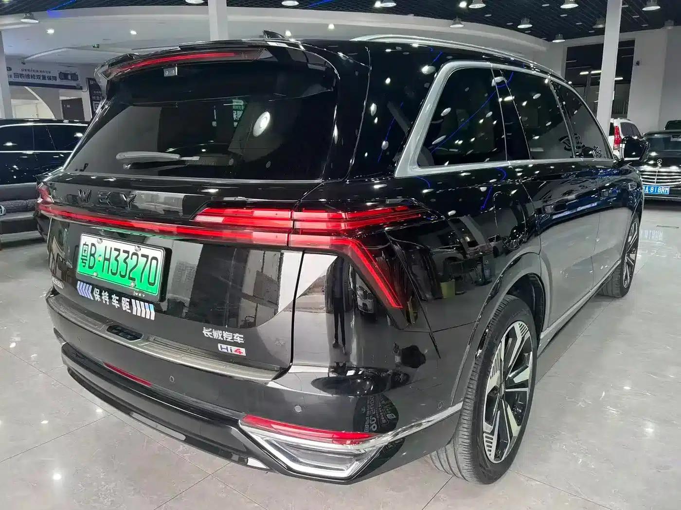 Weipai Blue Mountain 2025 4WD Max — миниатюра 15
