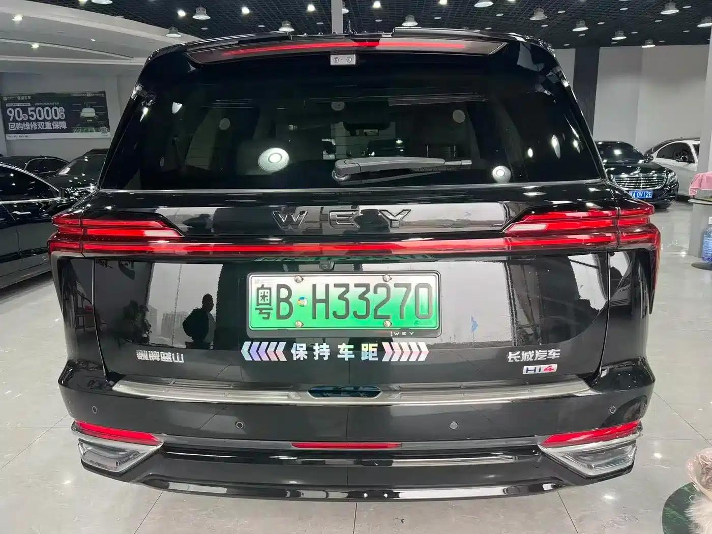 Weipai Blue Mountain 2025 4WD Max — миниатюра 16