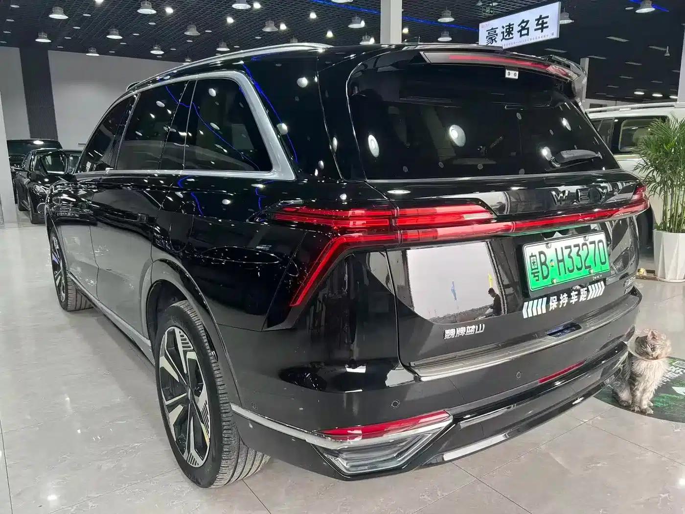 Weipai Blue Mountain 2025 4WD Max — миниатюра 17